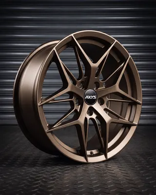 AXYS WER Bronze — estudio